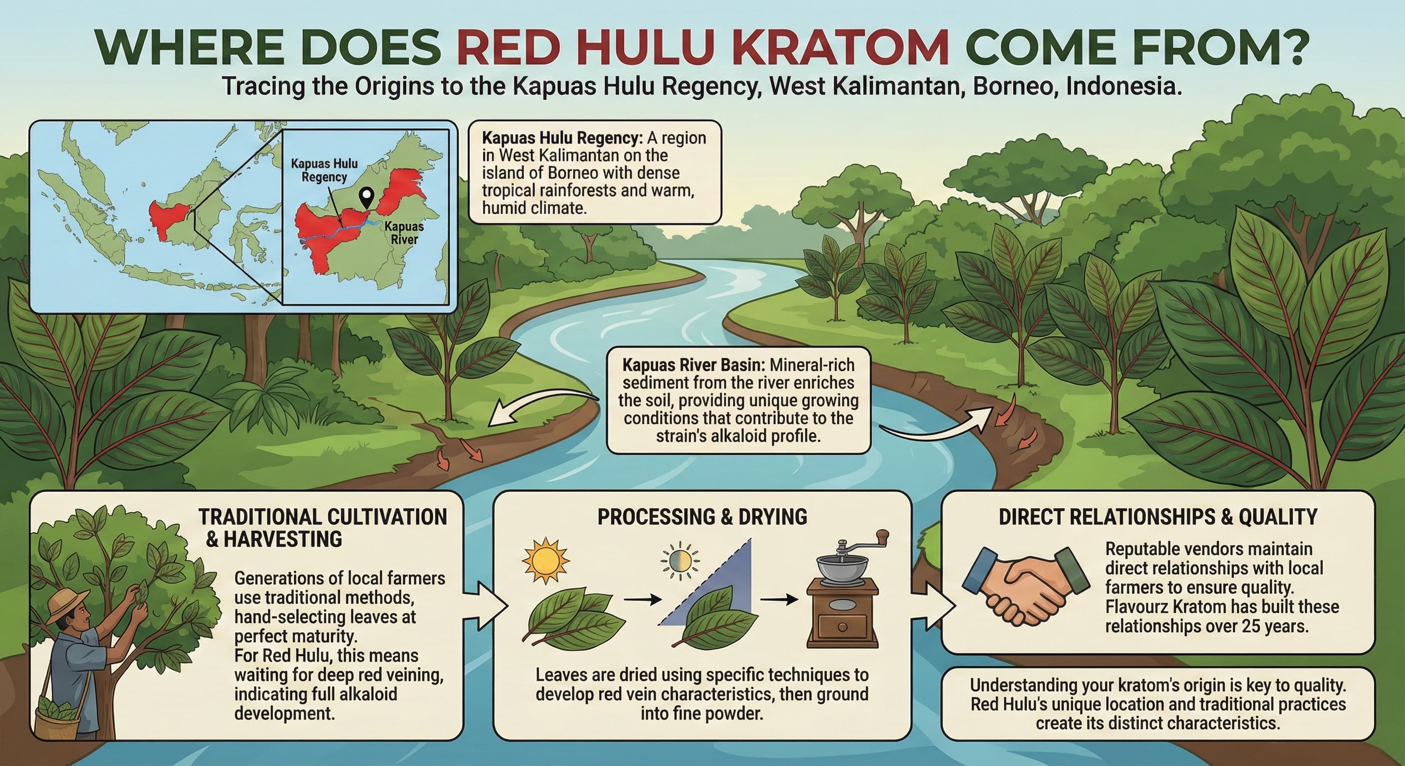 red hulu katom origin kapaus